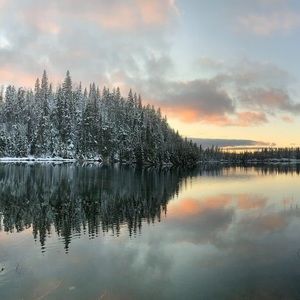 Meet your Posher, Ben